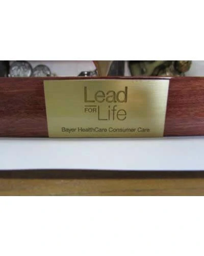 Trabalho do Escutor Pedro Cesar