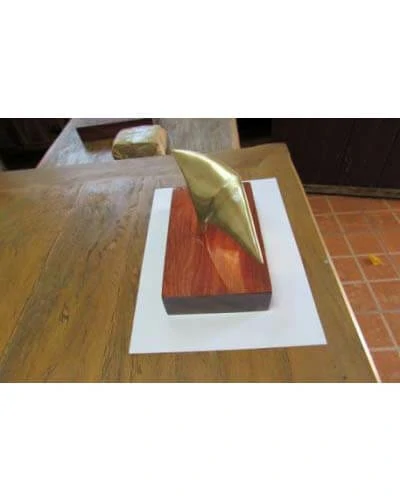 Trabalho do Escutor Pedro Cesar