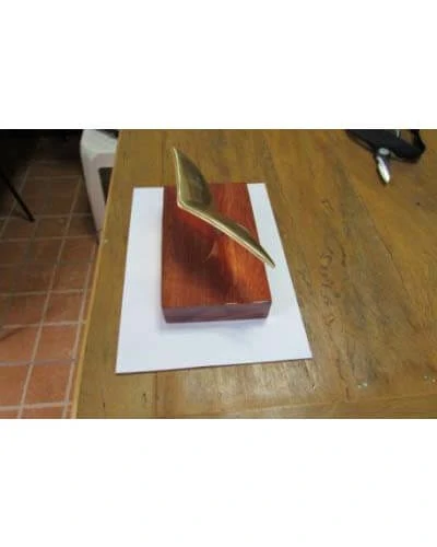 Trabalho do Escutor Pedro Cesar