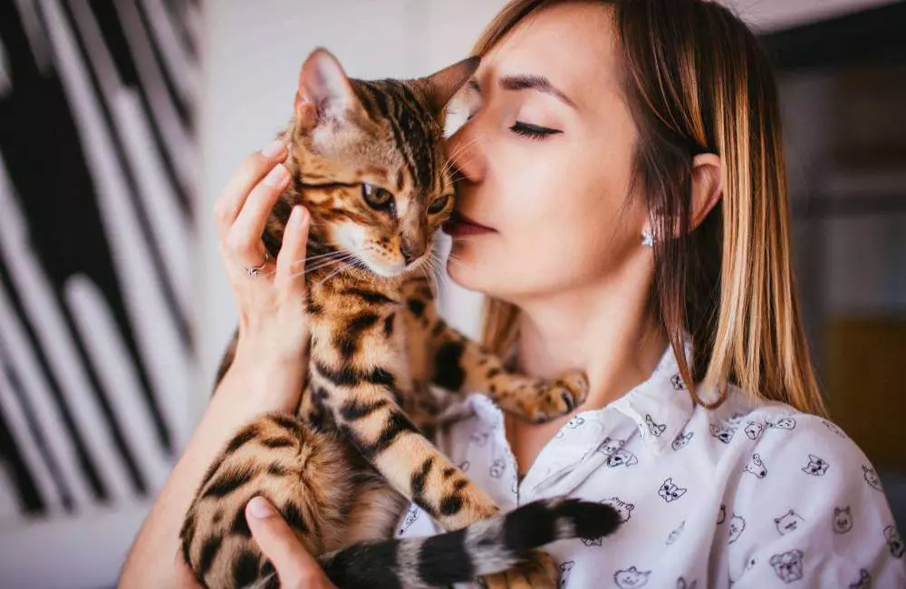 Serviços veterinários