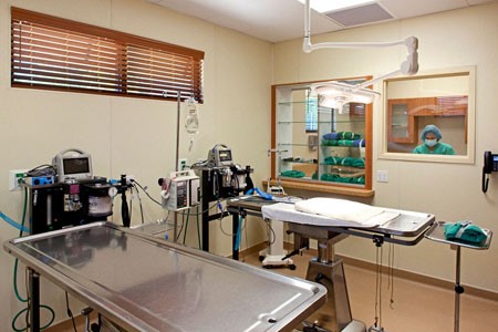 Hospital Vet Popular