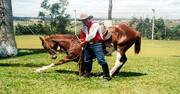foto égua mangalarga, motel e hotel fazenda Toca das Corujas