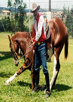Éguas