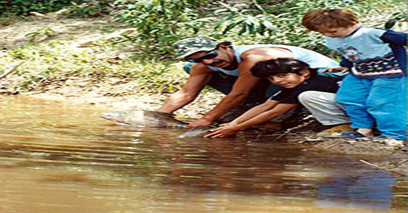 piscina toca das corujas