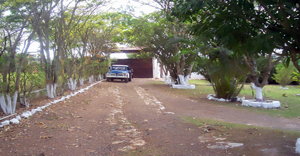 piscina toca das corujas