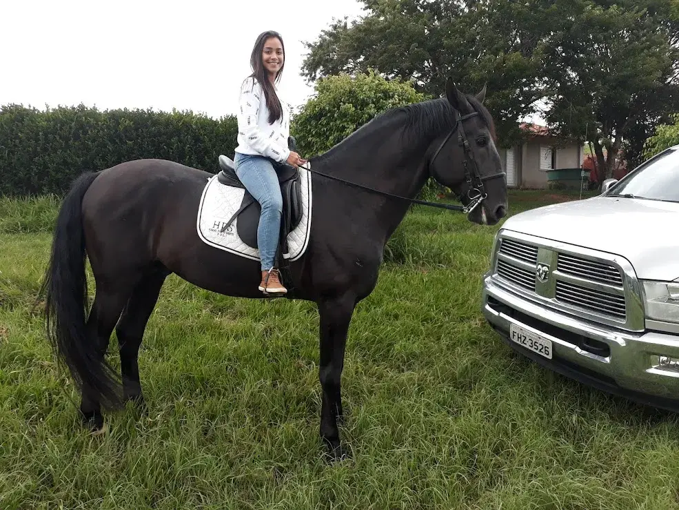 Hotel fazenda com passeio de cavalos e pôneis adestrados em Angatuba