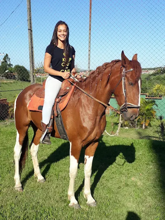 Hotel fazenda com passeio de Cavalos e pôneis em Angatuba