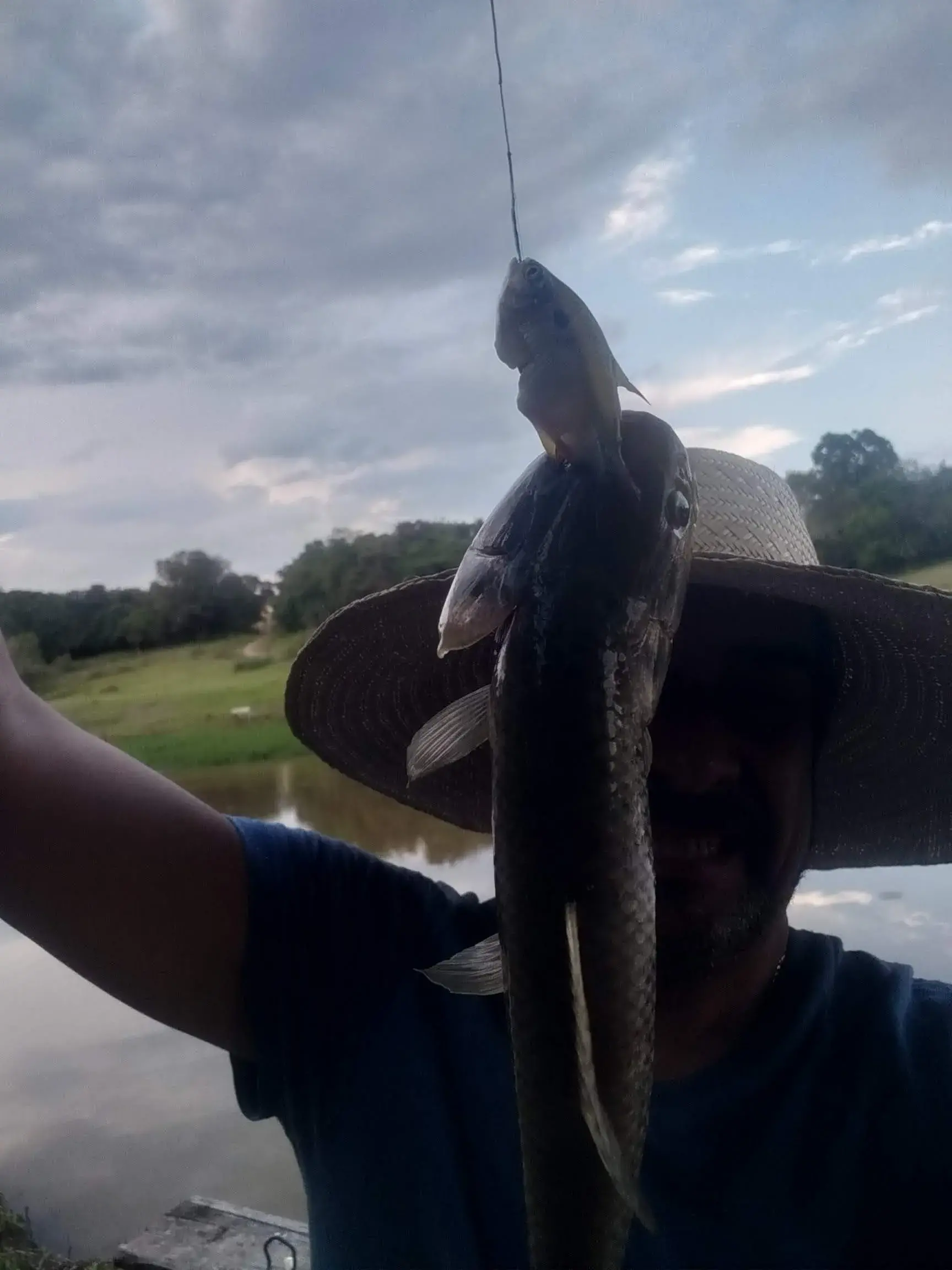 Hotel perto da Polengui