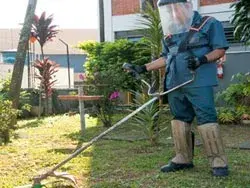 Terceirização de Jardinagem